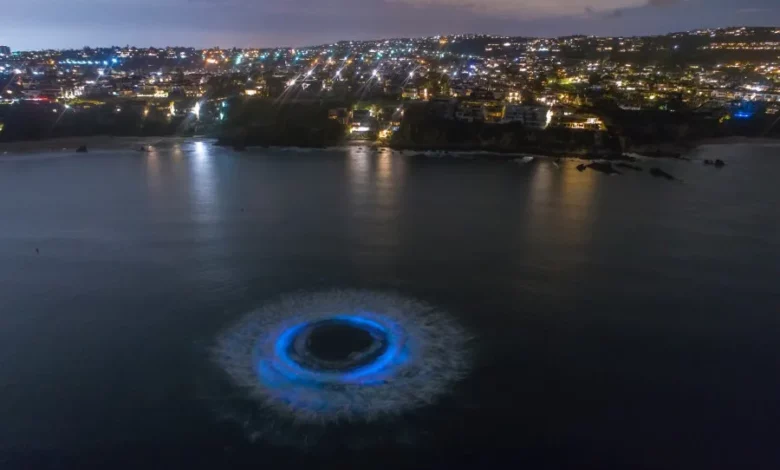 Bioluminescent Algae Illuminates Southern California Coast Bioluminescent Algae Illuminates Southern California Coast