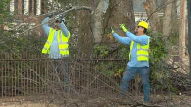 MLGW Gears Up for Winter Challenges: Infrastructure Upgrades and Preparedness MLGW Gears Up for Winter Challenges: Infrastructure Upgrades and Preparedness