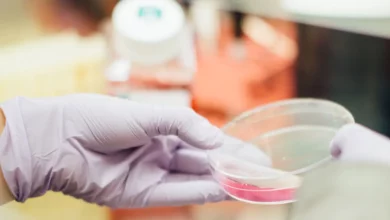 Novel Mechanism Unveiled to Enhance Cancer Immunotherapies Novel Mechanism Unveiled to Enhance Cancer Immunotherapies